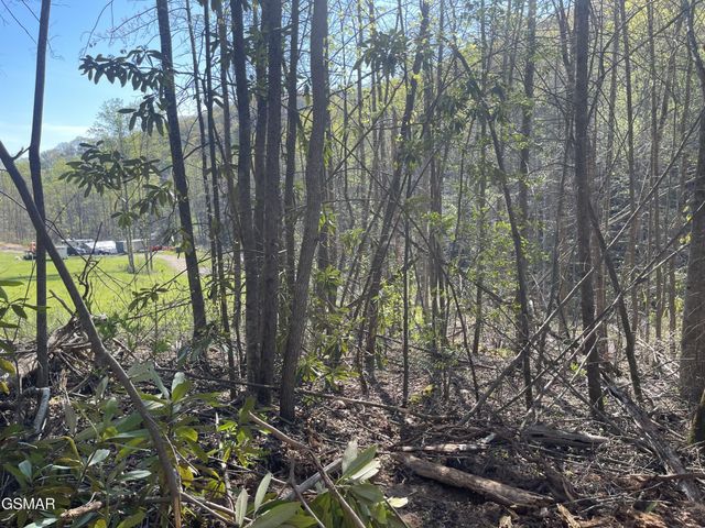 1120 Yellow Springs Road, Cosby, TN 37722