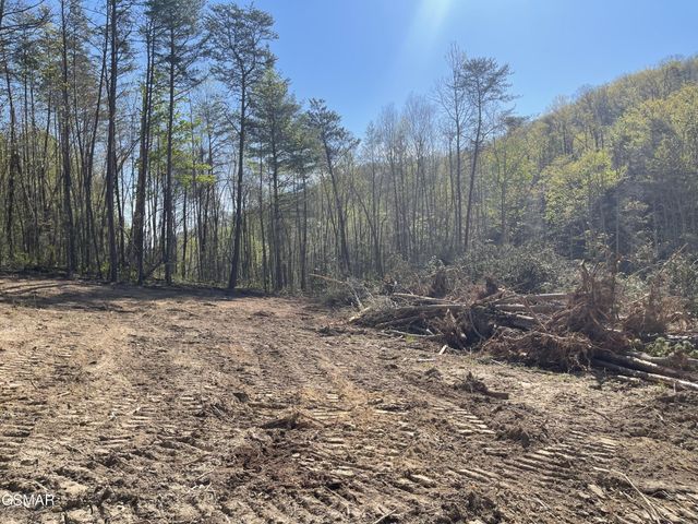 1120 Yellow Springs Road, Cosby, TN 37722