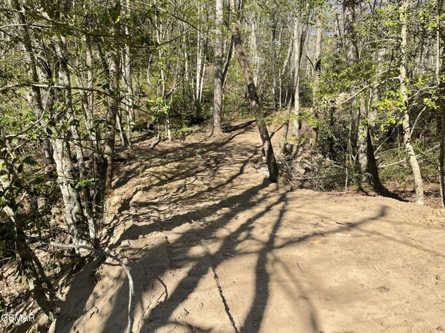 1120 Yellow Springs Road, Cosby, TN 37722