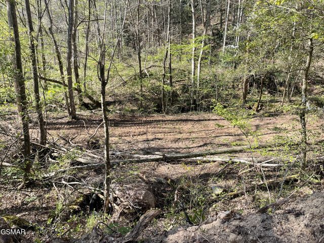 1120 Yellow Springs Road, Cosby, TN 37722