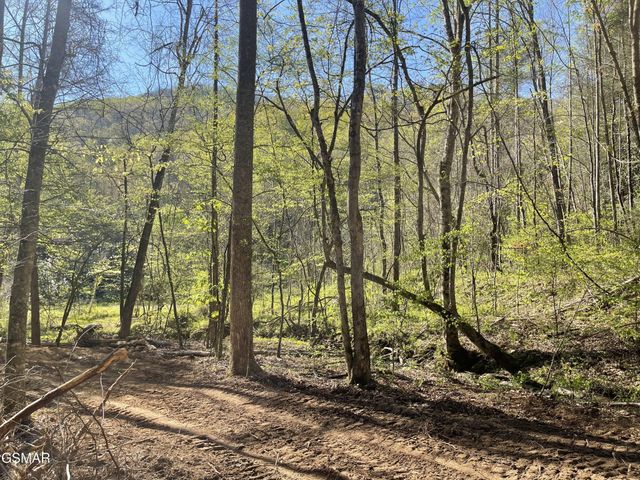 1120 Yellow Springs Road, Cosby, TN 37722