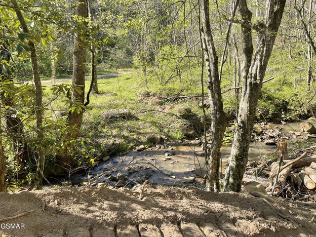 1120 Yellow Springs Road, Cosby, TN 37722