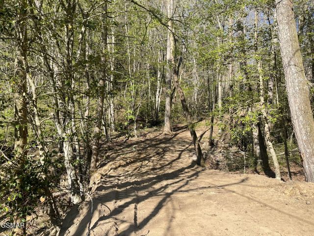 1120 Yellow Springs Road, Cosby, TN 37722