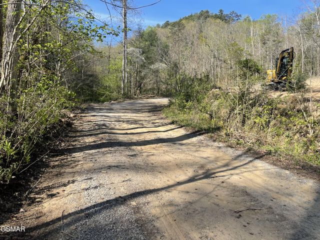 1120 Yellow Springs Road, Cosby, TN 37722