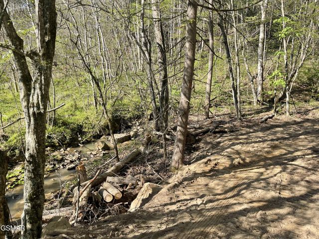 1120 Yellow Springs Road, Cosby, TN 37722