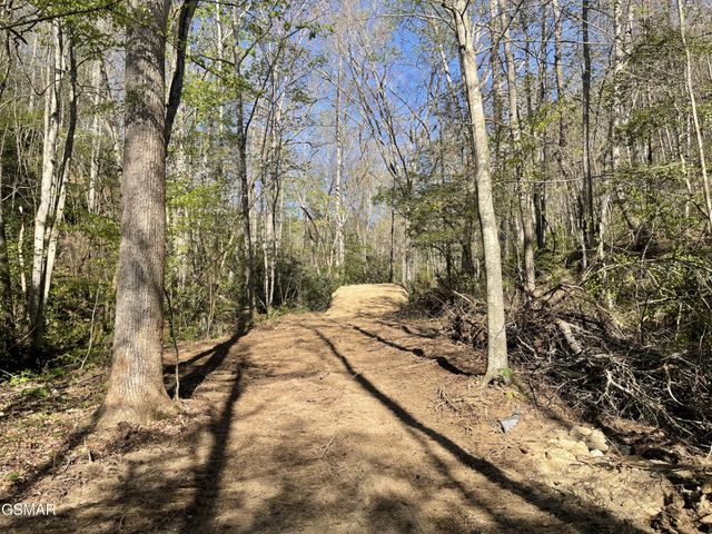 1120 Yellow Springs Road, Cosby, TN 37722