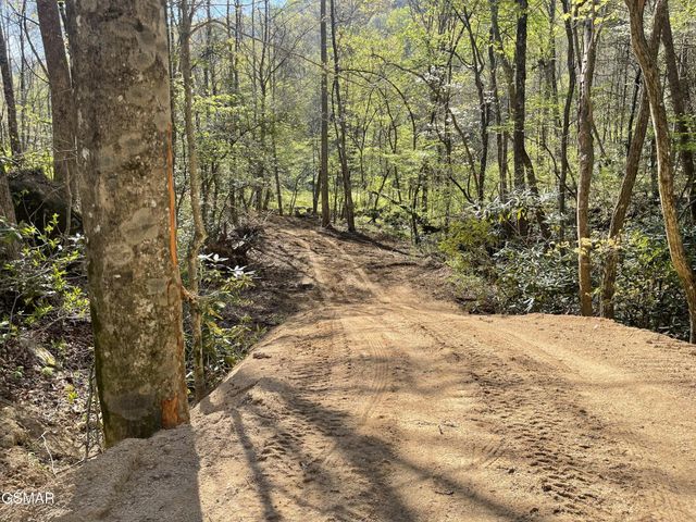 1120 Yellow Springs Road, Cosby, TN 37722