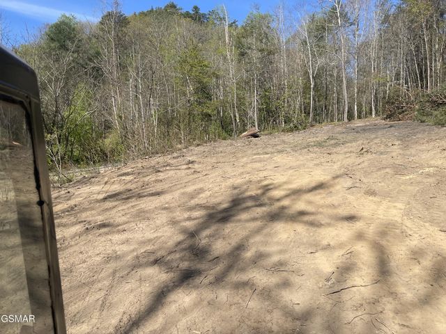 1120 Yellow Springs Road, Cosby, TN 37722
