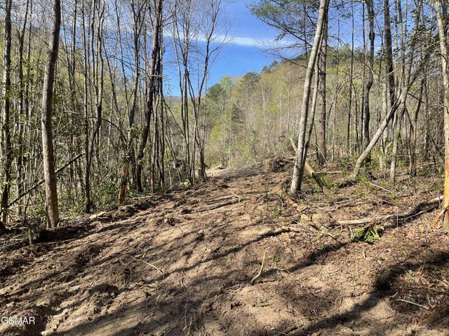 1120 Yellow Springs Road, Cosby, TN 37722