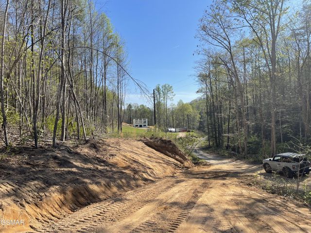 1120 Yellow Springs Road, Cosby, TN 37722