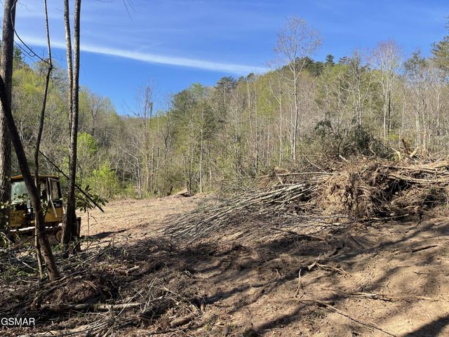 1120 Yellow Springs Road, Cosby, TN 37722