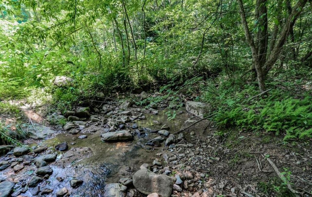 1120 Yellow Springs Road, Cosby, TN 37722
