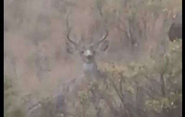 00 Skyway DRIVE, Billings, MT 59106