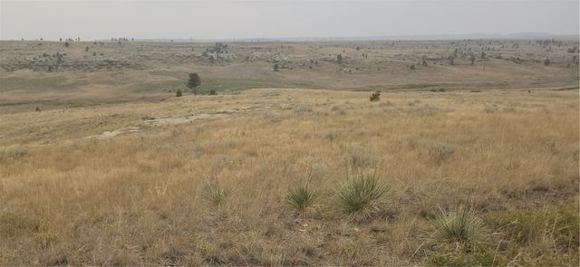 00 Skyway DRIVE, Billings, MT 59106