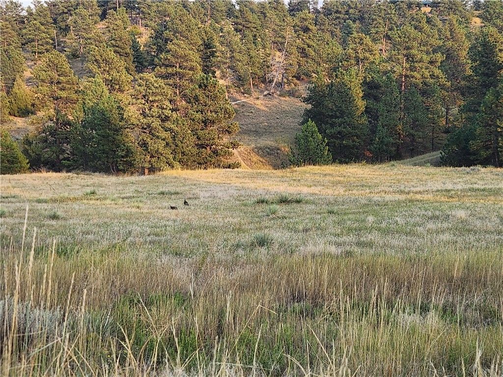 00 Skyway DRIVE, Billings, MT 59106 photo 4