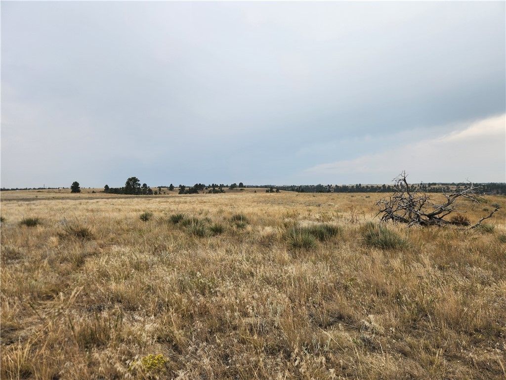 00 Skyway DRIVE, Billings, MT 59106 photo 5
