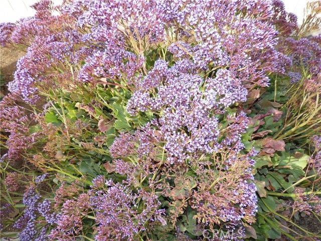 1776 Desert Almond Way, Beaumont, CA 92223