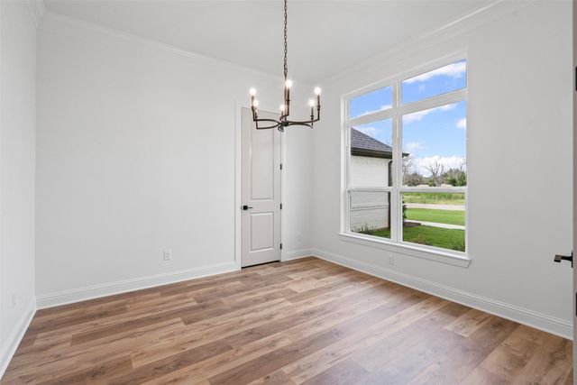 1133 Tremont Lane, Granbury, TX 76049