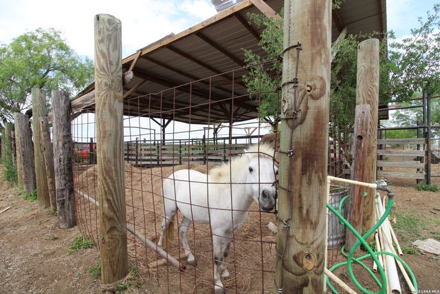 101 County Road 135, Floresville, TX 78114