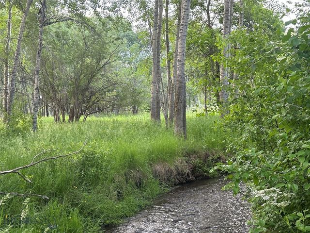 1918 & TBD Spring Creek Drive, Bozeman, MT 59715