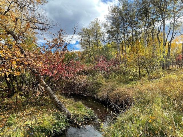 1918 & TBD Spring Creek Drive, Bozeman, MT 59715