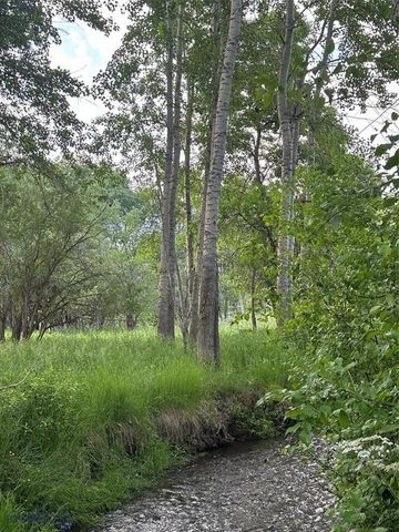 1918 & TBD Spring Creek Drive, Bozeman, MT 59715