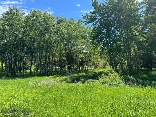 1918 & TBD Spring Creek Drive, Bozeman, MT 59715