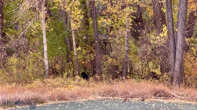 1918 & TBD Spring Creek Drive, Bozeman, MT 59715