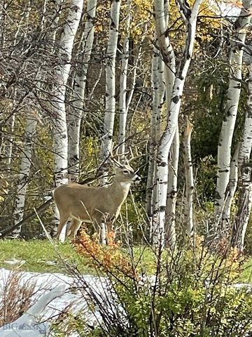 1918 & TBD Spring Creek Drive, Bozeman, MT 59715