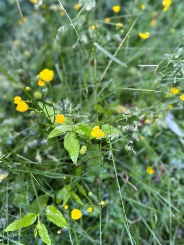 1918 & TBD Spring Creek Drive, Bozeman, MT 59715