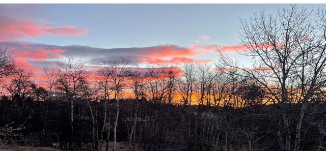 1918 & TBD Spring Creek Drive, Bozeman, MT 59715