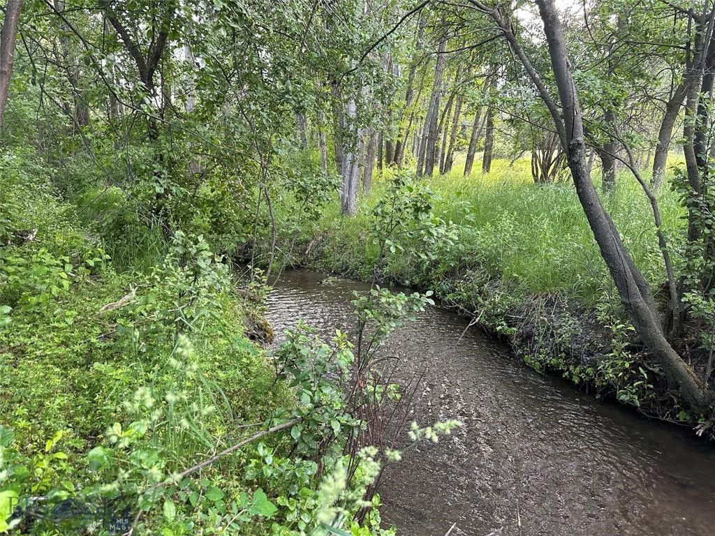 1918 & TBD Spring Creek Drive, Bozeman, MT 59715 photo 3