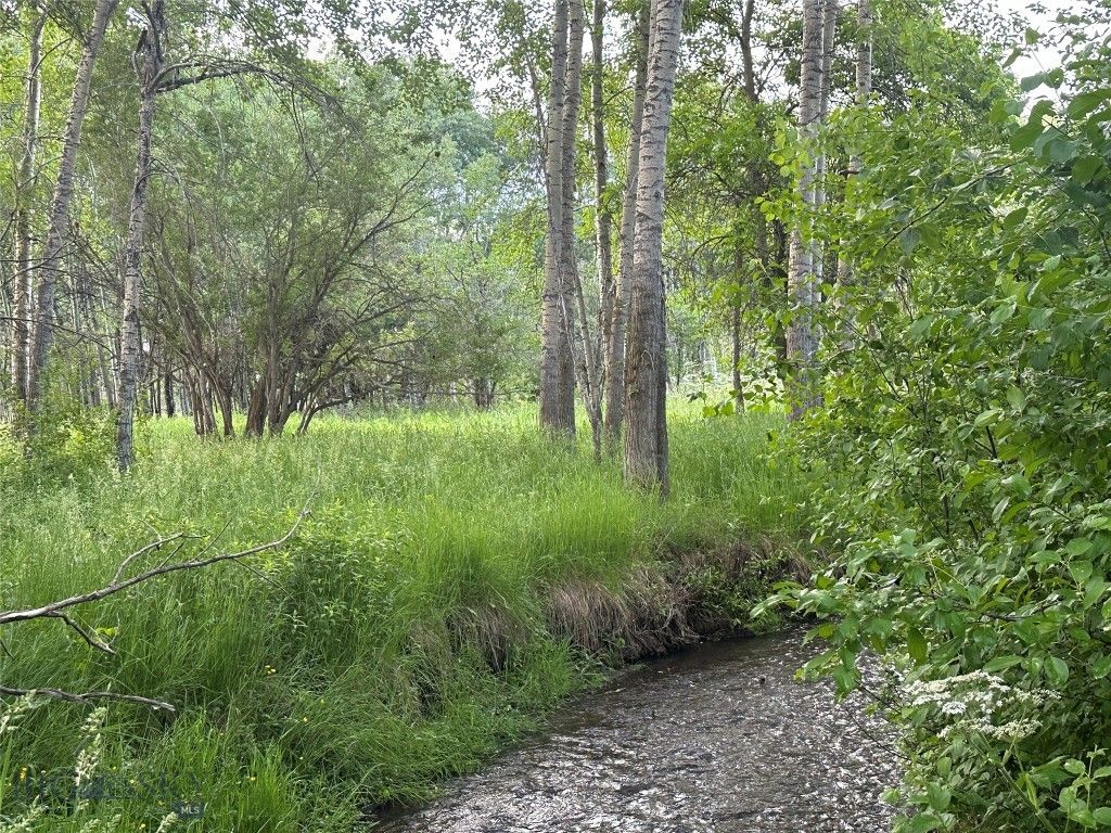 1918 & TBD Spring Creek Drive, Bozeman, MT 59715 photo 4