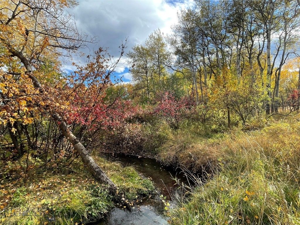 1918 & TBD Spring Creek Drive, Bozeman, MT 59715 photo 45