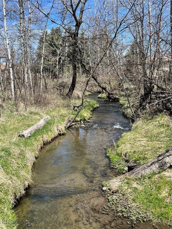 1918 & TBD Spring Creek Drive, Bozeman, MT 59715 photo 46