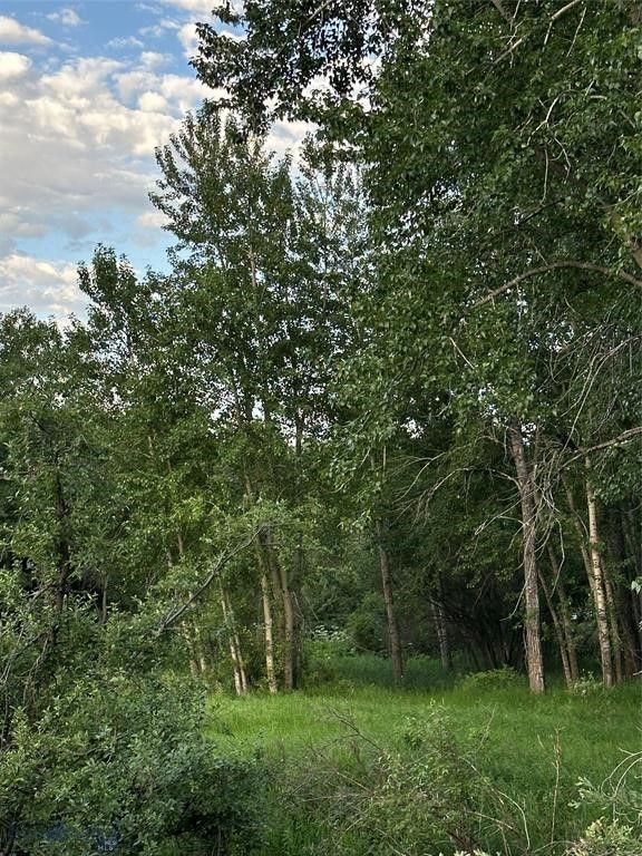 1918 & TBD Spring Creek Drive, Bozeman, MT 59715 photo 49