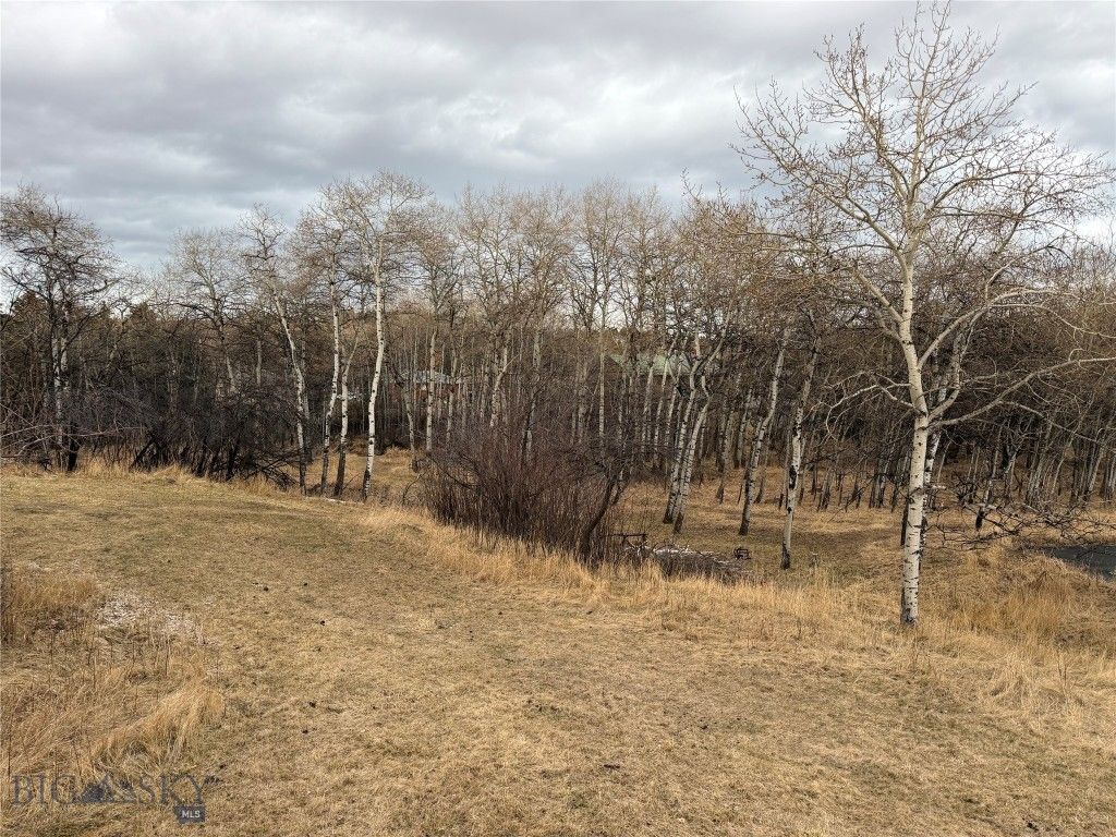 1918 & TBD Spring Creek Drive, Bozeman, MT 59715 photo 59
