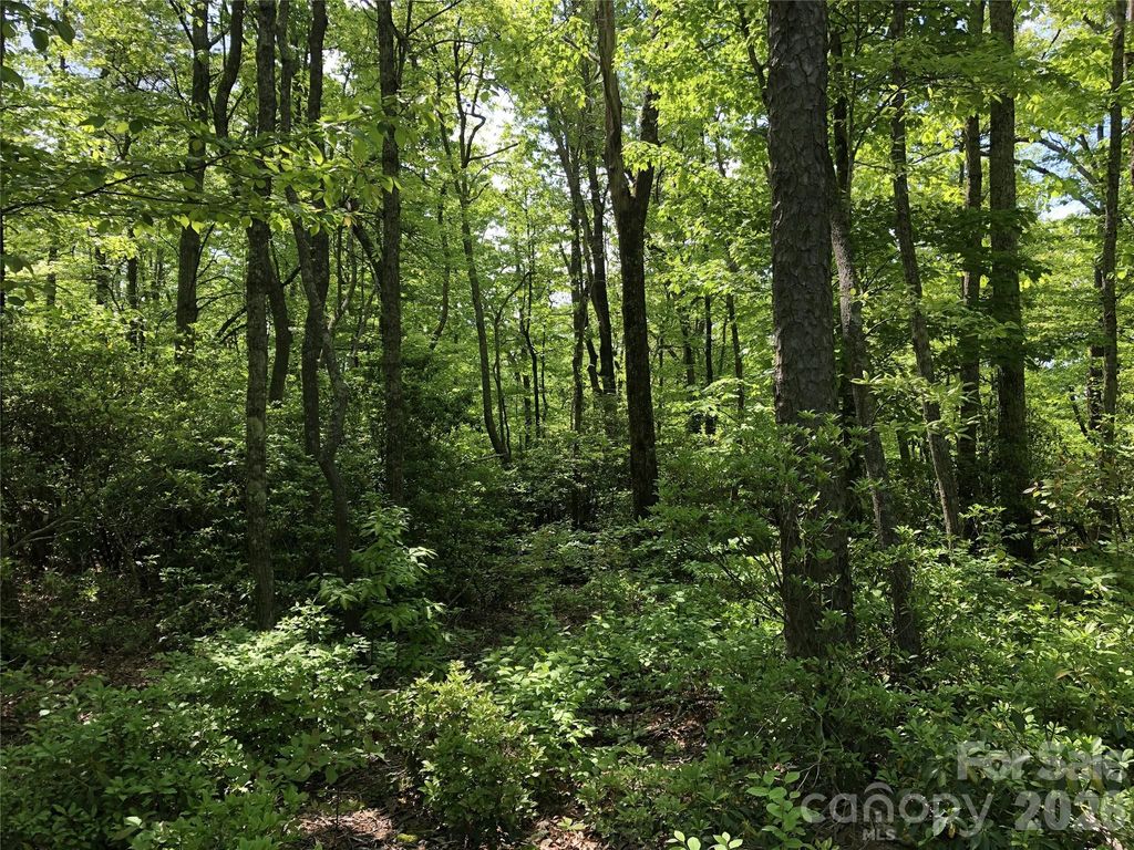 0 Millard Crossing 15, Hendersonville, NC 28792