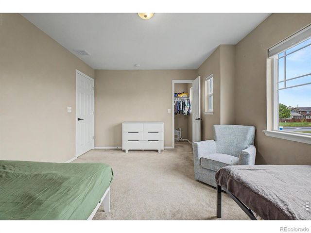 3451 Yule Trail Drive, Fort Collins, CO 80524