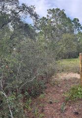 SCOOBY ROAD, Brooksville, FL 34604