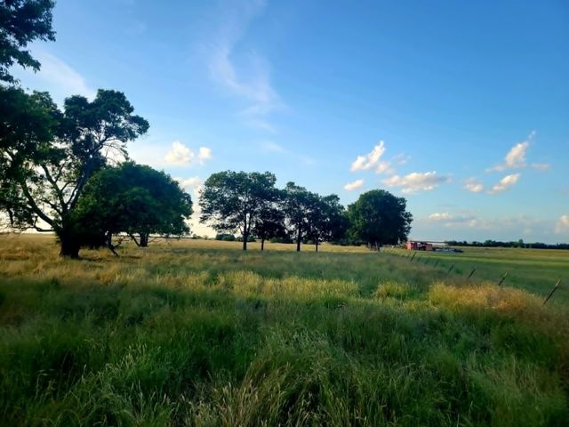 TBD County Road 4720, Wolfe City, TX 75496