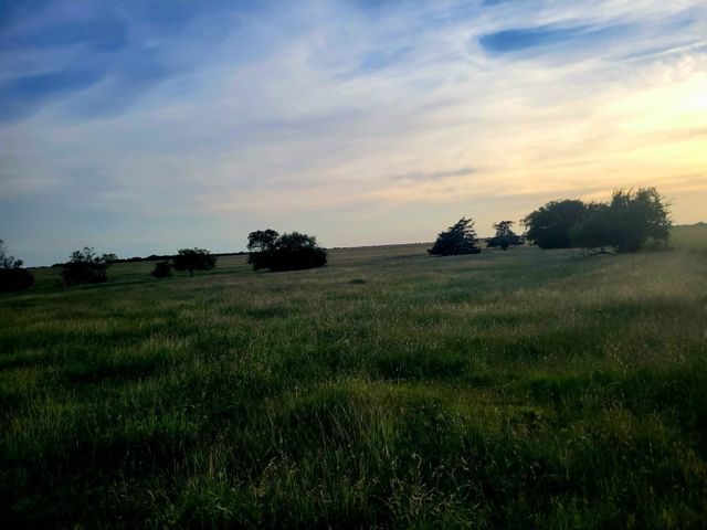 TBD County Road 4720, Wolfe City, TX 75496
