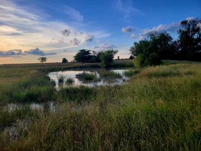 TBD County Road 4720, Wolfe City, TX 75496