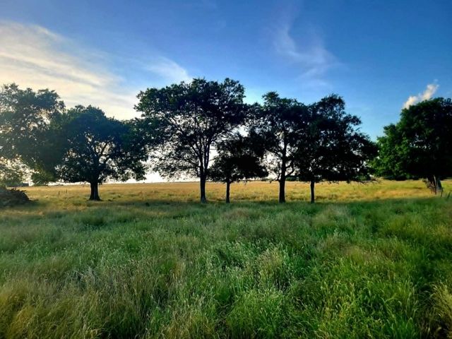 TBD County Road 4720, Wolfe City, TX 75496