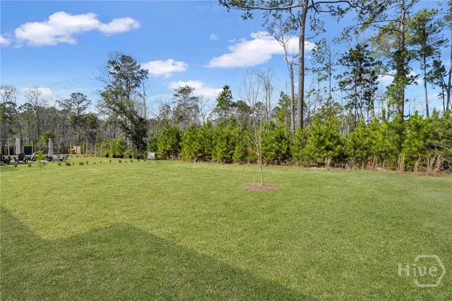 51 Hanover Place, Richmond Hill, GA 31324