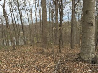 00 Horseshoe Bend Road, Rogersville, TN 37857