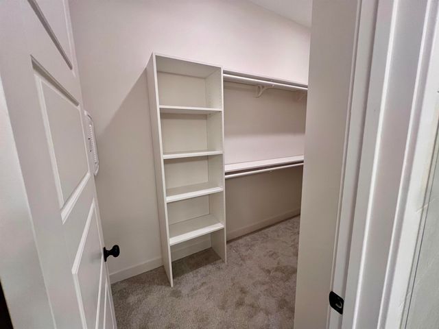 4845 ZANDER LN, Collierville, TN 38017