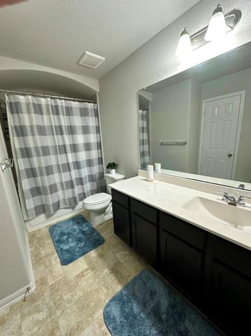 2226 Hidden Embers Path, Fresno, TX 77545