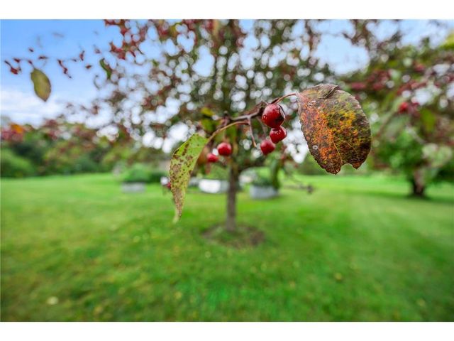 2419 230th Avenue, Saint Croix Falls, WI 54024