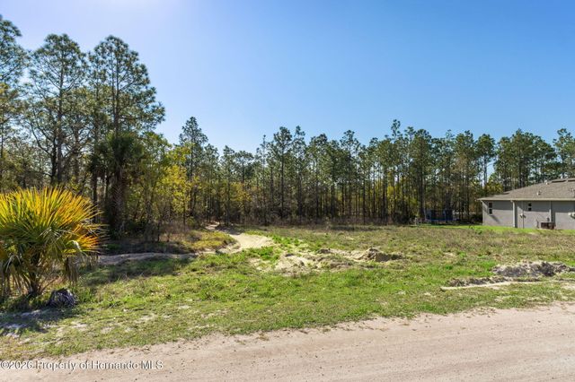 12348 Snowy Egret Avenue, Spring Hill, FL 34606